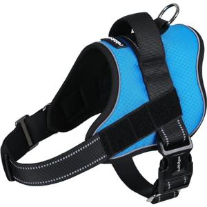 rabbitgoo Dog Harness Medium Sized, Easy On Pet Vest with One Buckle, No Pull Adjustable Service Harness with D-Ring & Handle, Reflective for Safety Walking, Training, Blue, M