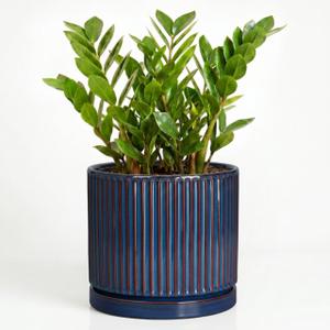Ceramic Planter, 10 Inch Plant Pots with Saucer, Retro Blue
