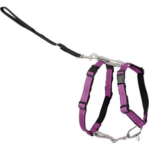 PetSafe 3 in 1 Dog Harness - No Pull Solution for Dogs - Reflective Dog Harness - Front D-Ring Clip Helps Stop Pulling - Comfortable Padded Straps - Top Handle Enhances Control - Plum - Small