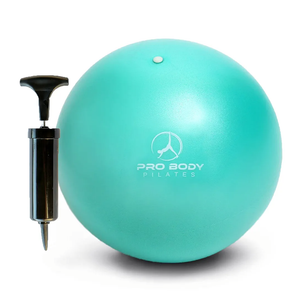 ProBody Pilates Small Exercise Ball with Pump - 9 Inch Workout Ball for Stability, Barre, Yoga, Core & Physical Therapy