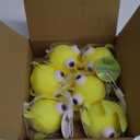 GOLDFISH SQUEEZIE 6 pcs