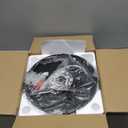 Flush Mount Ceiling Light Fixtures, 2-Light Black Ceiling Mount for Farmhouse with Clear Glass Lampshade, Industrial Flush Mount Light Fixture for Hallway, Kitchen, Entryway and Foyer