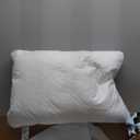 Blue Ridge Home Fashions K200506 Quilted Goose and Feather Down Jumbo Pillow in White (Set of 2), 2 Count (Pack of 1)