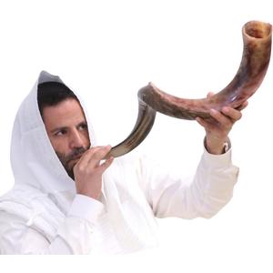 Kosher Kudu Shofar Horn from Israel 43-45  Traditional Half Polished Kudu Shofar Holy Voice Easy Blowing Ancient Jewish Musical Instrument