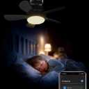 Ligency Smart Socket Fan Light with Remote, 16 inch Small Socket Ceiling Fan Light with RGBW, E26 Screw in Ceiling Light Bulb Fan, 1800Lm, Work with Alexa & Google Assistant for Garage Bedroom, Black