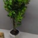 27" Artificial Tree in Pot, Realistic Faux Foliage with UV Resistant Leaves, Easy Assembly for Corner Floor Farmhouse Home Decor