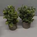 2 Pack Fake Plants Eucalyptus Small Potted Artificial Plants Indoor Greenery for Shelf Desk Home Bathroom Modern Farmhouse Living Room Coffee Table Decor