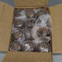 Remerry 24 Pcs 3oz Mini Amber Elegant Stemless Patterned Plastic Wine Glasses Great for Weddings, Bridal Showers, Thanksgiving and Fall Events