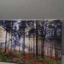Nature Landscape Sunrise Tree Canvas Wall Art - 20x40 inches Wall Decoration for Living Room Forest Picture Artwork Painting Prints of Trees for Bedroom and Home Dcor (40L" x 20W")