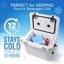 Everlasting Ice RX Large Reusable Ice Packs for Cooler with Handle (4 Pack) Long Lasting Coolness, BPA Free, Freezer Packs for Extended Cooling | Cooler Ice Packs for Camping, Fishing, Hiking, Beach