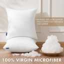 MIULEE Set of 2 Throw Pillow Inserts 20x20 Inches, 100% Virgin Filling Nonwoven Pillow Inserts for Couch Sofa Living Room