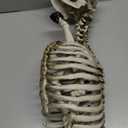 DR.DUDU Goat Skeletons Halloween Decorations  26 Inch Long Life Size Skeleton Animals for Outdoor, Yard, Lawn Decor - Realistic Farm Skeleton Goat Party Props Scary Halloween Dcor