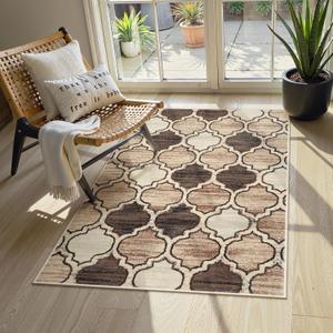 Lahome Moroccan Washable 3x5 Entry Way Rugs Indoor - Small Area Rug Aesthetic Non-Slip Throw Bedroom Rugs Thin Low-Plie Entryway Office Rug for Kitchen Bathroom Laundry Room, 3'x5' (Coffee)