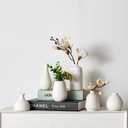Tanvecle White Ceramic Bud Vase Set of 11, Small Vases for Pampas Grass, Flowers, Mini Vases for Modern Home Decor, Minimalist Decor, for Living Room, Dining Table & Shelves