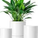 vancasso Ceramic Plant Pots, 3 Piece Planters for Indoor Plants, 4.25+5.25+6.25 Inch Flower Pots with Drainage, Plant Pots Indoor for Succulent, Pothos, Snake Plant and Money Tree, Etc (White)