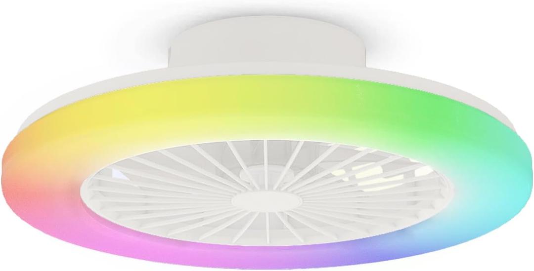 Modern LED Ceiling Light with Fan, RGB Ceiling Fan Lights, Ceiling Fan with lamp, 24 Ventilation speeds, infinitely dimmable Light for Living Room, Bedroom, Office, 3000-5500 K (White &19" & RGB)