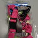 PetSafe Easy Walk Harness for Dogs - Pull-Free Walks - Patented Martingale Loop Design - Front Chest Leash Attachment - Comfort Straps - Breathable Harness Design - Large, Raspberry/Gray