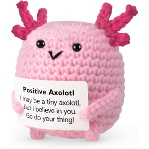 Positive Gifts for Women, Birthday Graduation Teacher Appreciation Gifts for Girls Friends Daughter Sister Teens Coworker, Emotional Inspirational Support Cheer Up Handmade Crochet Axolotl Desk Decor