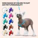 CollarDirect Rolled Leather Dog Harness Small Puppy Step-in Leash Set for Walking Pink Red White Blue Green Black Purple Beige Brown Yellow (Black, XS)