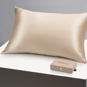Blissy Silk Pillowcase  100% Pure Mulberry Silk  22 Momme 6A HighGrade Fibers  Silk Pillow Cover for Hair & Skin  Regular, Queen & King (Champagne, Standard)
