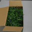 Artificial Christmas Garland, Soft Pine Xmas Garland, Christmas Collection, 15 Feet Christmas Greenery Garland Festive Home Decor for Indoor or Outdoor Use