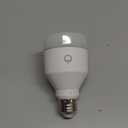 Smart Light (1 Count (Pack of 1))