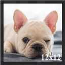 RUN HELIX 12x12 Picture Frame, Wall Gallery Photo Frames,Stable and Sturdy Black Frame with High Definition Plexiglass,12x12 Poster Photo Frame,Horizontal and Vertical Formats for Wall Hanging, Black