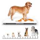 Digital Weighing Scale for Dogs Cats Puppies, Vet Scale, Scale for Animals Pets, 330lb x 0.1lb, Veterinary Scale, 33 x 19in Wide Platform, 8mm Tempered-Glass