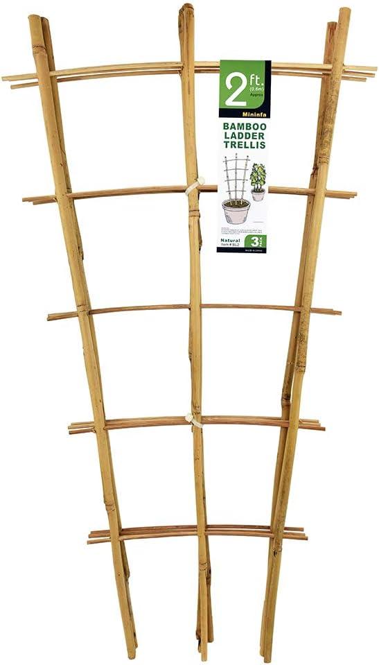 Natural Bamboo Trellis 24 Inches Tall, Mininfa Garden Ladder Trellis, Plant for Climbing Plants, Vegetables, Pots - 3 Pack