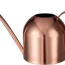 IMEEA Indoor Watering Can for House Plants 33oz/1L Stainless Steel Watering Can with Long Spout for Succulents, Bonsai (33oz (Rose Gold))