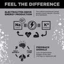 LMNT Zero Sugar Electrolytes - Variety Pack Bundle | Drink Mix | 18-Count