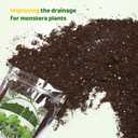 3 x Monstera Potting Soil 1qt - Premium Tropical Blend with Rapid Drainage for Growing and Repotting Monstera Deliciosa (Split-Leaf Philodendron) and Swiss Cheese Plants