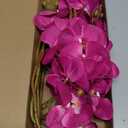 Hot Pink Artificial Orchids Flowers 5PCS Faux Orchid Stems 35.4" Phalaenopsis Branches for Tall Vase for Bridal Shower Home Party Wedding Decoration (Hot Pink)