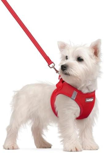 rabbitgoo Dog Harness Small Sized and Leash Set, Step in Soft Light Puppy Vest, Breathable Mesh Pet Harness, Reflective for Safe Easy Walking, Red, Size: XS