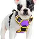 rabbitgoo Dog Harness No Pull with 2 Leash Clips, Adjustable Soft Padded, Reflective Oxford No Choke Pet Vest with Easy Control Handle for Small Dogs, Purple & Yellow, S