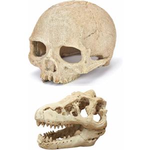 Desert Reptile Skull Fish Tank Decorations - Bearded Dragon Accessories, Snake Tank Decor (Human + Dinosaur)