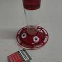Birds Ruby Hummingbird Feeder, 10 oz