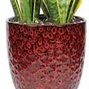 11.8 Inch Flower pots for Indoor Plants,Ceramic Planter with Saucer Drainage Leak-Proof Mesh Gardening Gloves (Diamond Red)