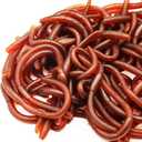 60 Pieces Fake Earthworm Faux Trick Toy Plastic Soft Stretchy Realistic Earthworms Simulated Fishing Lures Baits for Halloween Decoration