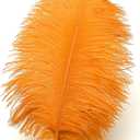 Ballinger Orange Large Ostrich Feathers - 24Pcs 10-12inch Large Orange Feathers for Vase,Wedding Party Centerpieces 