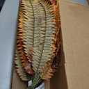 Nearly Natural 20 Autumn Boston Fern Artificial (Set of 3) Silk Plants Orange