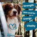 2 x NutriForce 44-in-1 Multivitamin for Dogs – Daily Supplement for Hip & Joint, Skin & Coat, Immune, Digestion, Energy & Heart – 120 Chewable Tablets – Liver Flavor – All Breeds & Ages – Vet Recommended