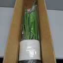 Artificial Bird of Paradise - Fake Plants Indoor Faux Tropical Palm Potted Dypsis Lutescens for Home Office Decor Housewarming (4FT-1Pack) (7in)