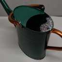 1 Gallon Metal Watering Can with Removable Spout, Nice Galvanized Steel Water Can with Embossed Design for Indoor and Outdoor Plants (Green)