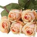 DILATATA Artificial Realistic Roses Peach Flowers 24" Real Touch Silk Roses Bouquet Long Stems Rose Fake Roses Decor for Home Party Wedding Table Centerpieces Roses Realistic - 5 Pcs