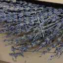 14 Inch Preserved Lavender Natural Wreath, Fragrant Real Lavender Front Door Wreath