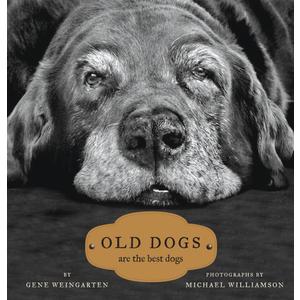 Old Dogs: Are the Best Dogs