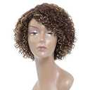 HUA Short Curly Human Hair Wigs for Black Women 8 inch Short Curly Wigs for Black Women No Lace Front Human Hair Wigs (WIG P4/ 27)