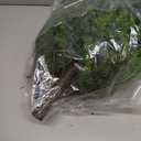 Artificial Cedar Topiary Ball Tree with Ground Spike: 23 Inch 2 Pack UV Resistant Faux Green Cypress Shrubs Plants Fake Bushes for Front Porch, Garden, Indoor and Outdoor Home Decor