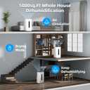 5,000 Sq.Ft 2025 Dehumidifier 80 Pint/Day Dehumidifier for Basement, Bedroom, Home, Bathroom, Smart Compressor Dehumidifier with Drain Hose, Intelligent Humidistat 24H Timer,Child Lock,Defrost,Silent